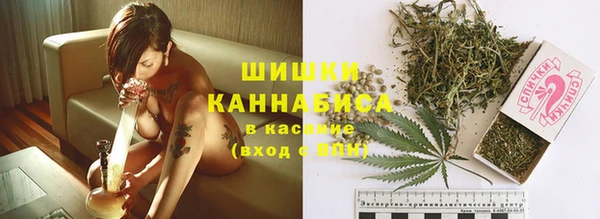 трава Алзамай