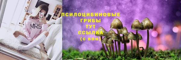 круглые Абаза