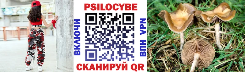 купить  цена  MEGA как войти  Галлюциногенные грибы Psilocybe  Электроугли 